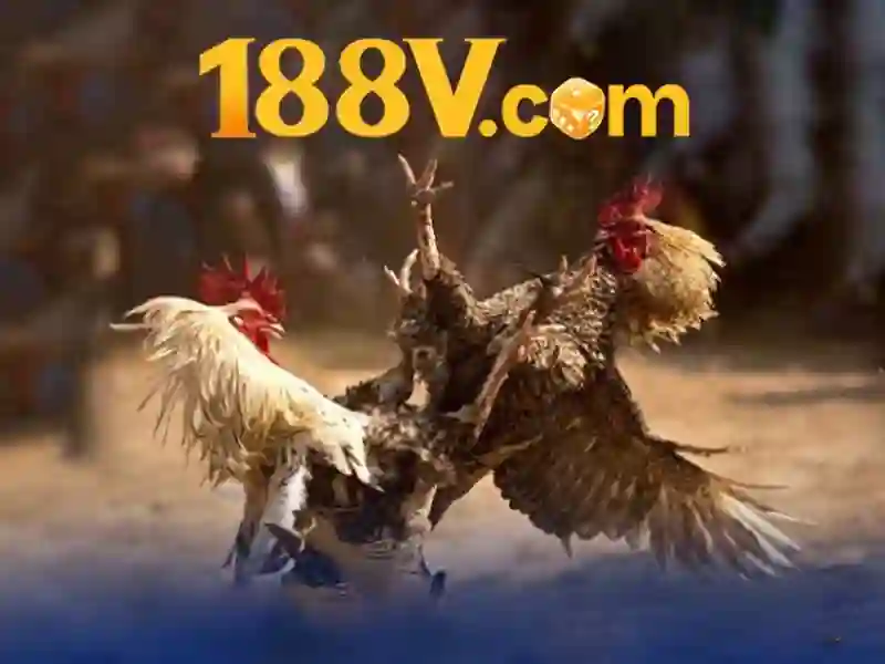 Giao diện nhà cái hoàn hảo