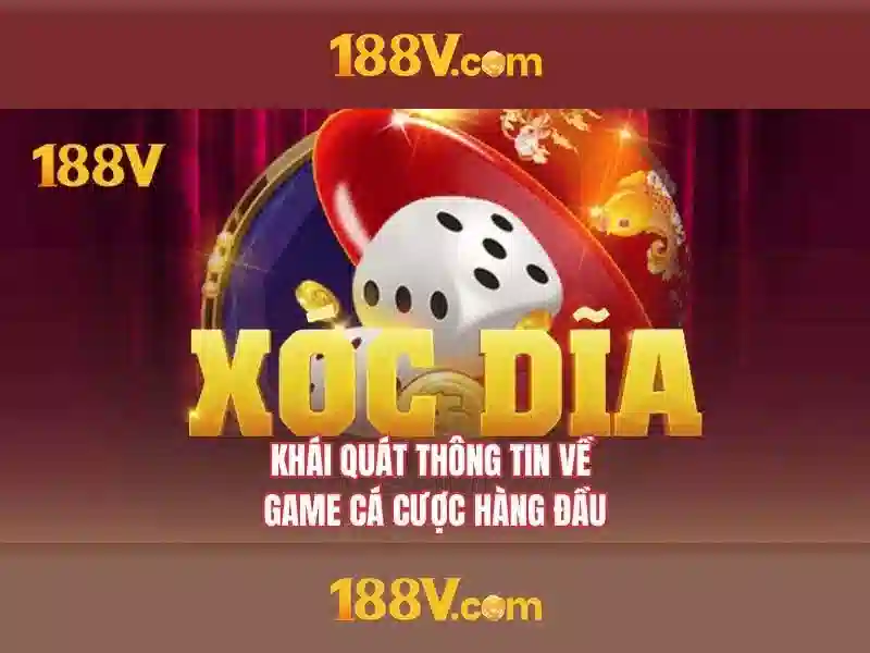 Tóm tắt và lời mời trải nghiệm