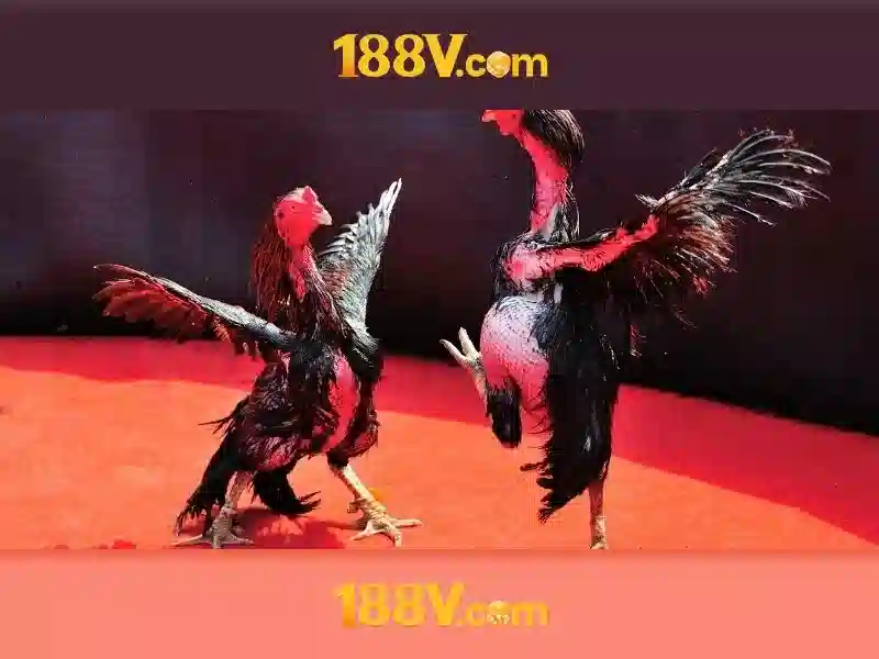 Giao diện nhà cái hoàn hảo