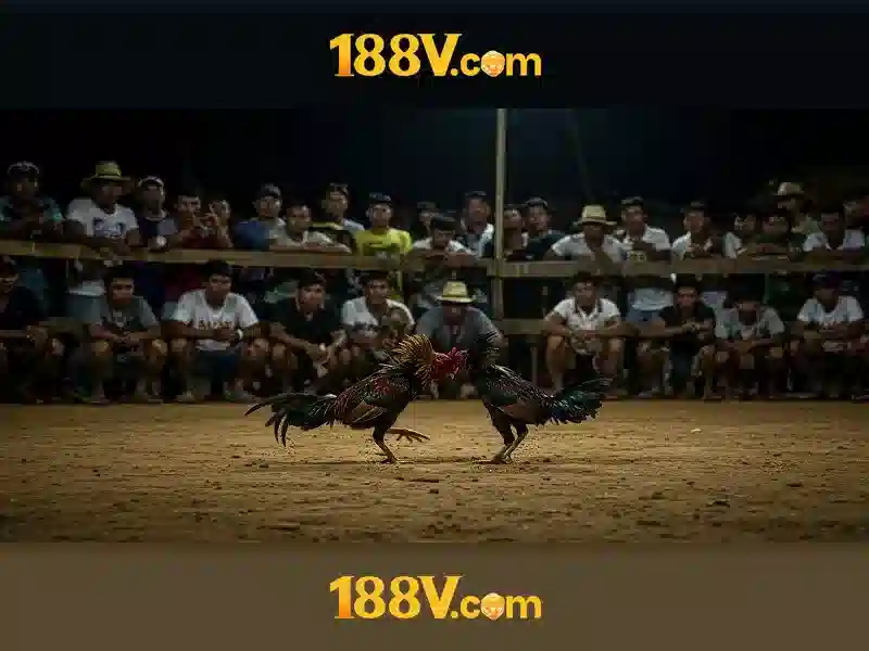 188v vom – Nền tảng số mang lại trải nghiệm tuyệt vời