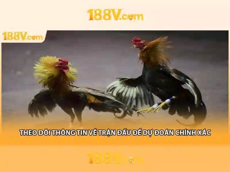 Khái niệm 188v và nguồn gốc của nó Giao diện nhà cái hoàn hảo