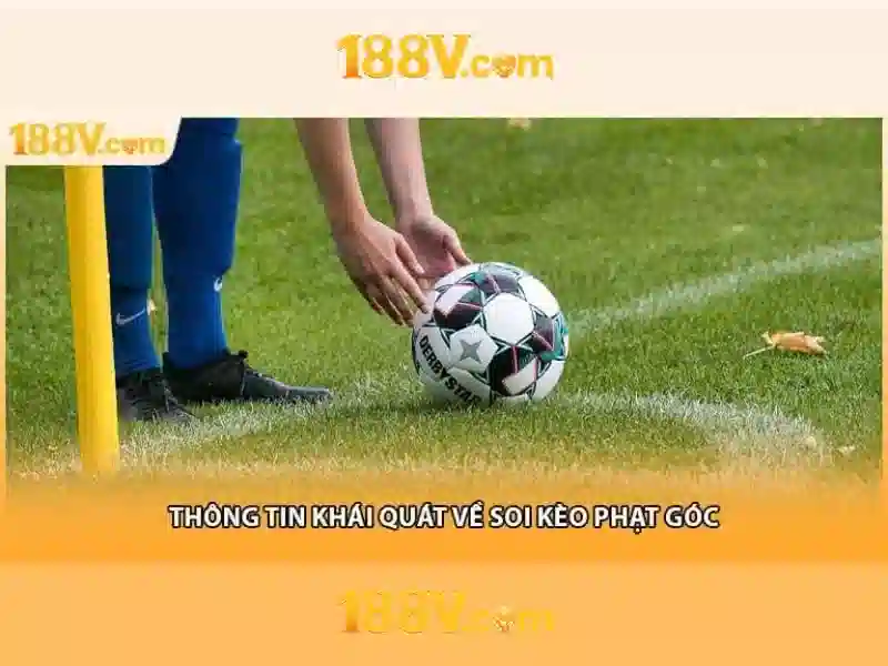 Giao diện nhà cái hoàn hảo