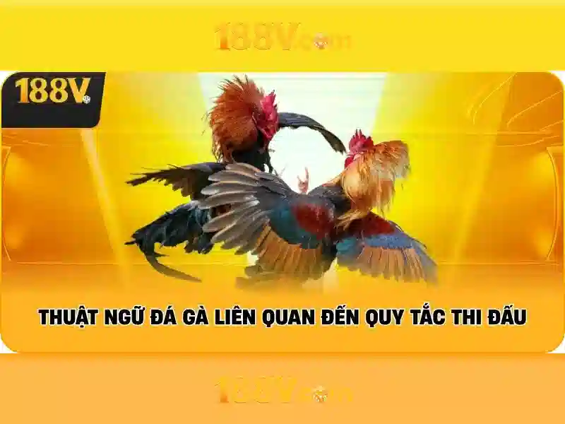 Giao diện nhà cái hoàn hảo