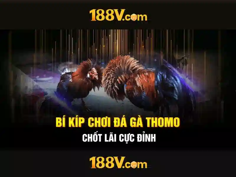 Giao diện nhà cái hoàn hảo