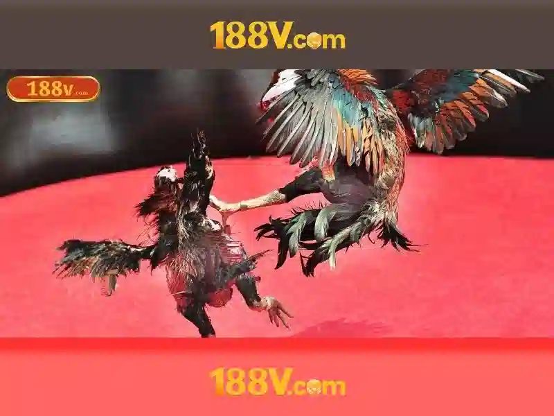 188v an toàn không – Tóm lược chủ đề và giá trị