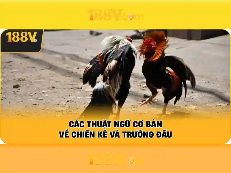 Hướng dẫn 188v - Tổng quan, ứng dụng và trải nghiệm Giao diện nhà cái hoàn hảo