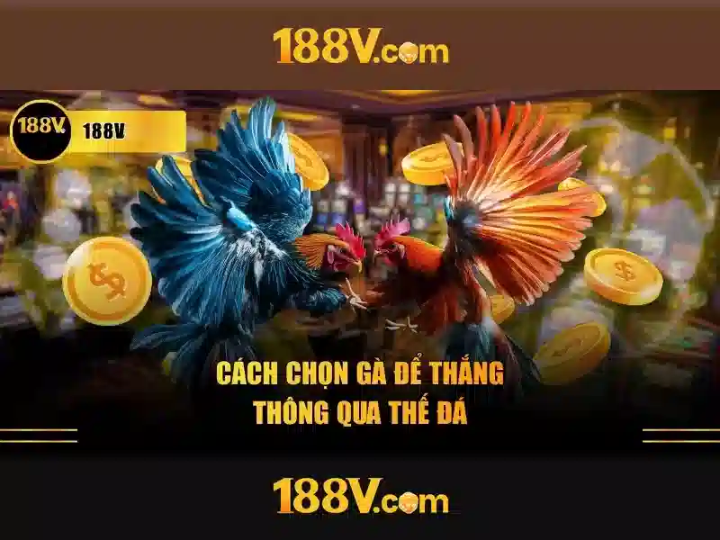 Kết luận về 188v