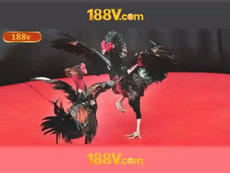 tải apk 188v miễn phí – khám phá ứng dụng và cộng đồng 188v