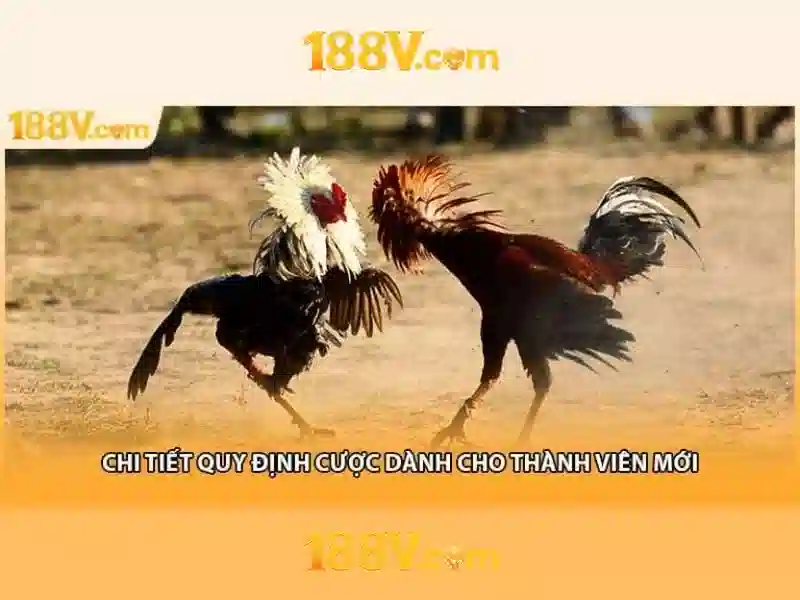 188v, Định hình tương lai trải nghiệm số và cược Giao diện nhà cái hoàn hảo