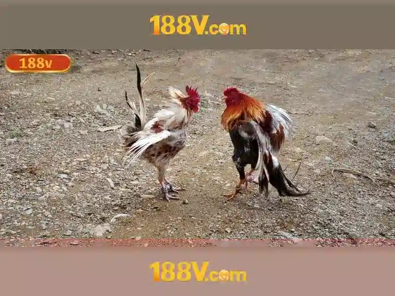 Lợi thế cạnh tranh của 188v no hu