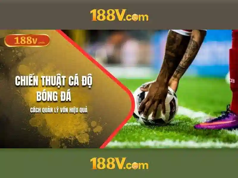 Khái niệm và tương lai của 188v