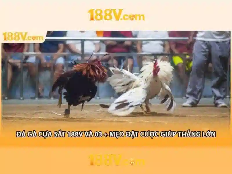 Giao diện nhà cái hoàn hảo