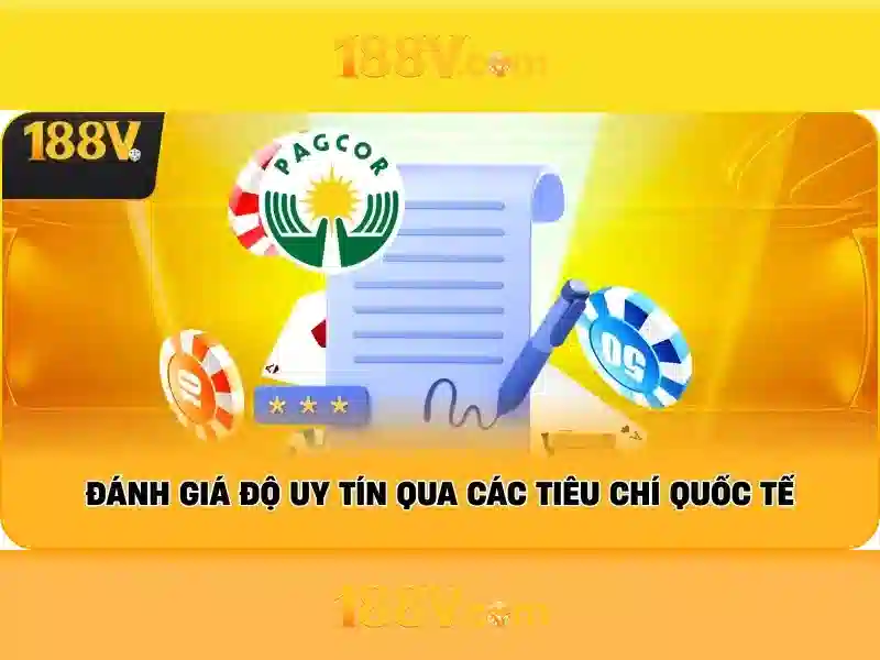 Trải nghiệm người dùng và phản hồi cộng đồng