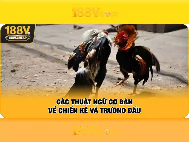 188v trong đời sống kỹ thuật số