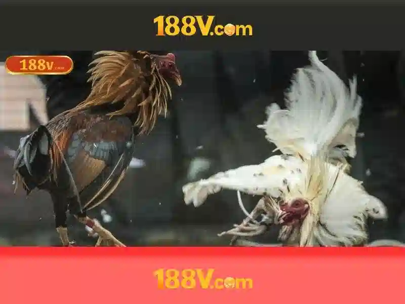 https://indahtekhnologi.com/images/text/188v/188v-text260312176.webp Nguồn gốc và ý nghĩa của 188V