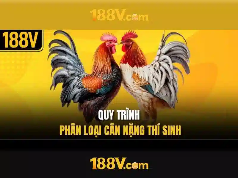 Giao diện nhà cái hoàn hảo