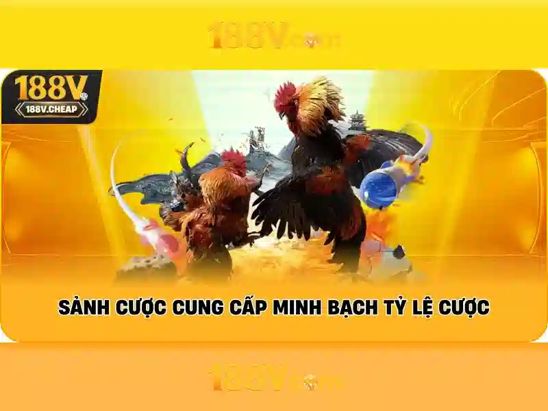 188v – Khái niệm và ứng dụng Giao diện nhà cái hoàn hảo