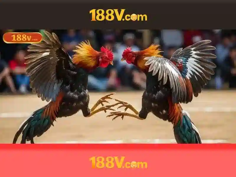 https://indahtekhnologi.com/images/text/188v/188v-text815.webp Kết luận về 188V