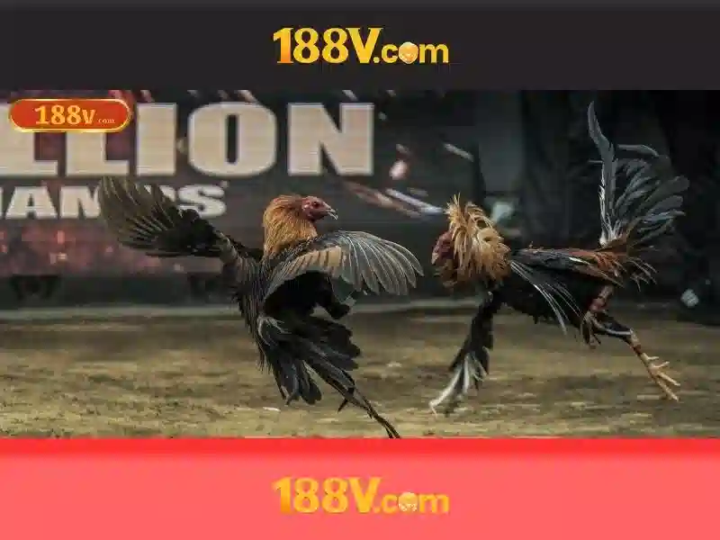 Giao diện nhà cái hoàn hảo