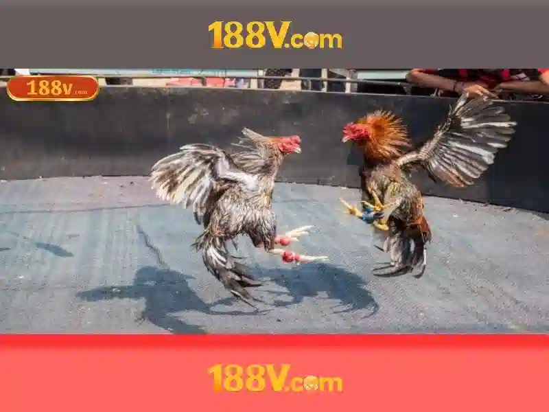 Khái niệm 188V