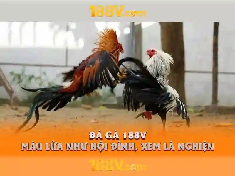 Ứng dụng của 188v trong công nghệ hiện đại