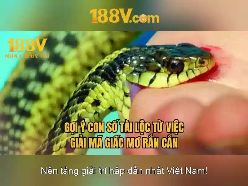 188V: Con đường của điện áp huyền bí
