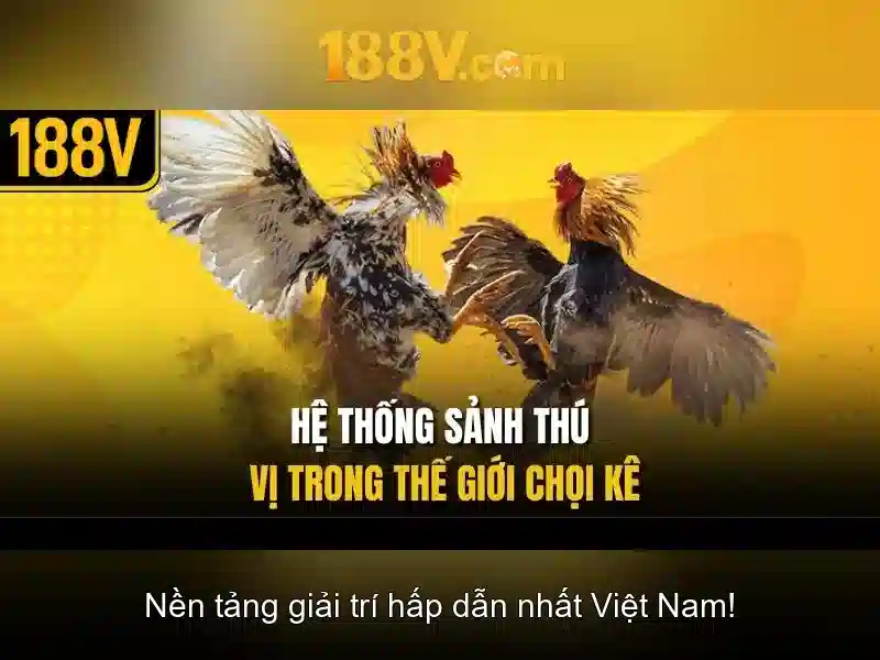 Giao diện nhà cái hoàn hảo