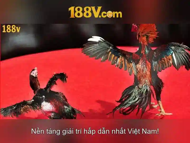 Năng lượng và cảm xúc