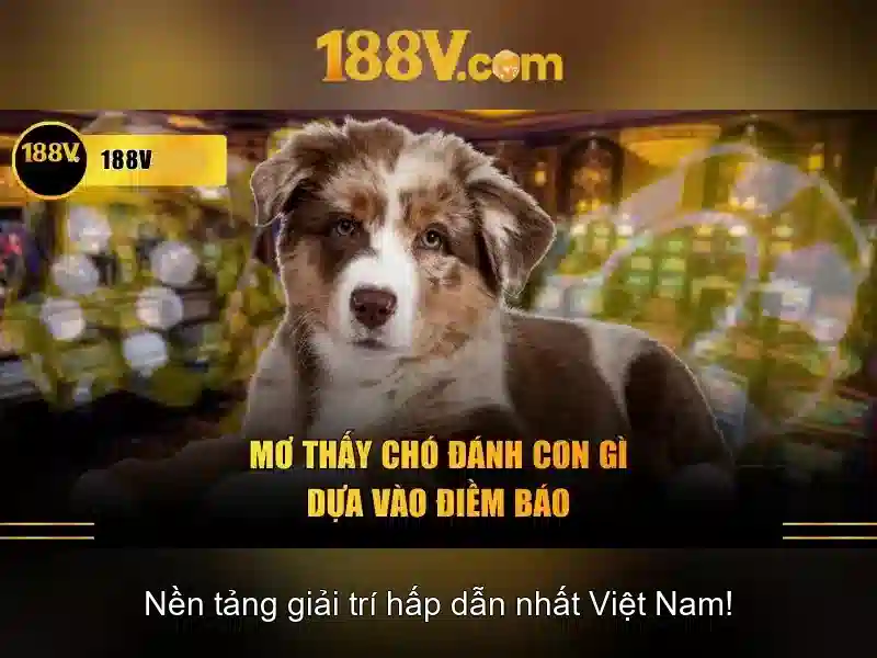 188v: một khía cạnh của toán học và nghệ thuật Giao diện nhà cái hoàn hảo