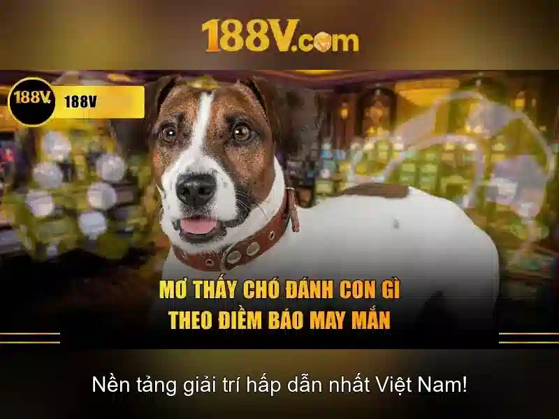 https://indahtekhnologi.com/images/text/188v/188v-text260312215.webp Những câu chuyện nhỏ từ 188v trong đời sống\n