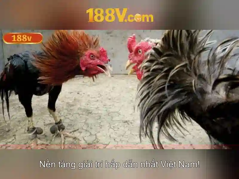 https://indahtekhnologi.com/images/text/188v/188v-text260330152.webp Khái niệm 188v\n