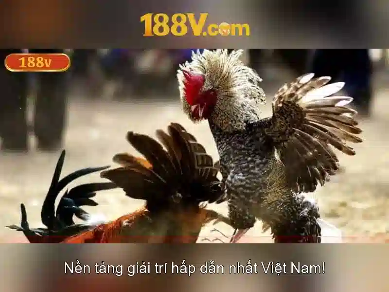 Khám phá 188v: một chân trời số và ý nghĩa của nó Giao diện nhà cái hoàn hảo