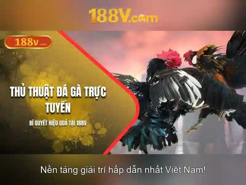 giftcode 188v – Trải nghiệm và liên kết 188v