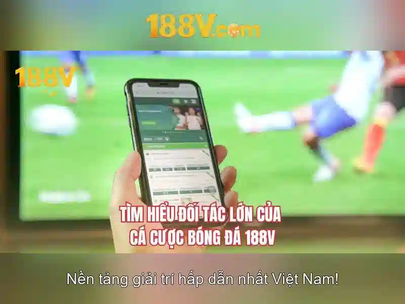 Nguồn gốc và tiêu chuẩn\n\n