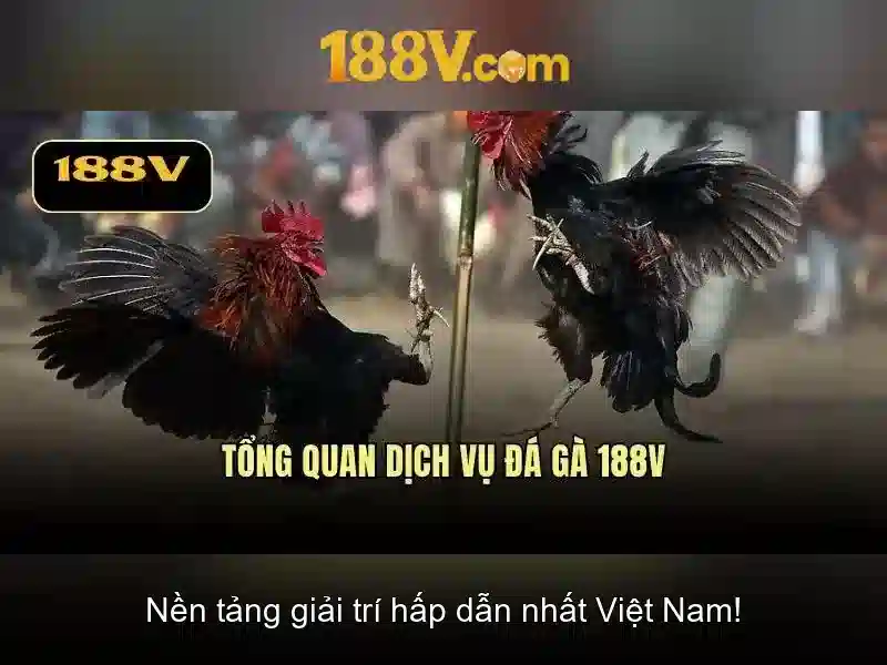 Khái niệm 188v và hành trình khám phá