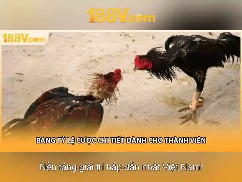 188v official: Định hình chuẩn mực cá cược
