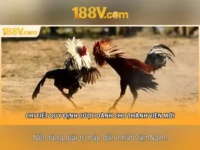 Khởi đầu với 188v