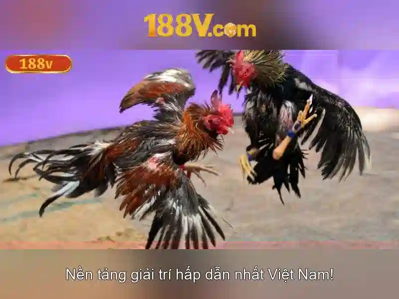 https://indahtekhnologi.com/images/text/188v/188v-text165.webp Khởi nguồn của 188v