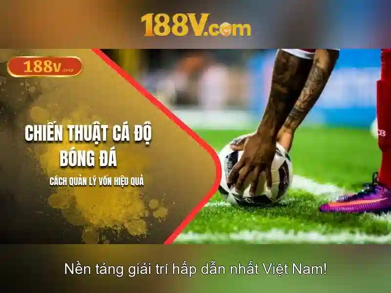 Cấu trúc và mục tiêu của 188v