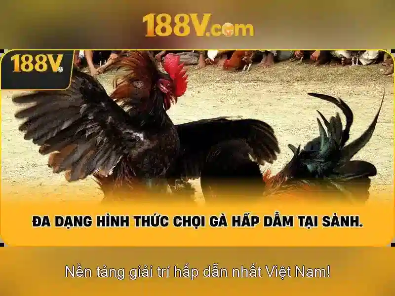 188v: một khái niệm mở và hành trình khám phá