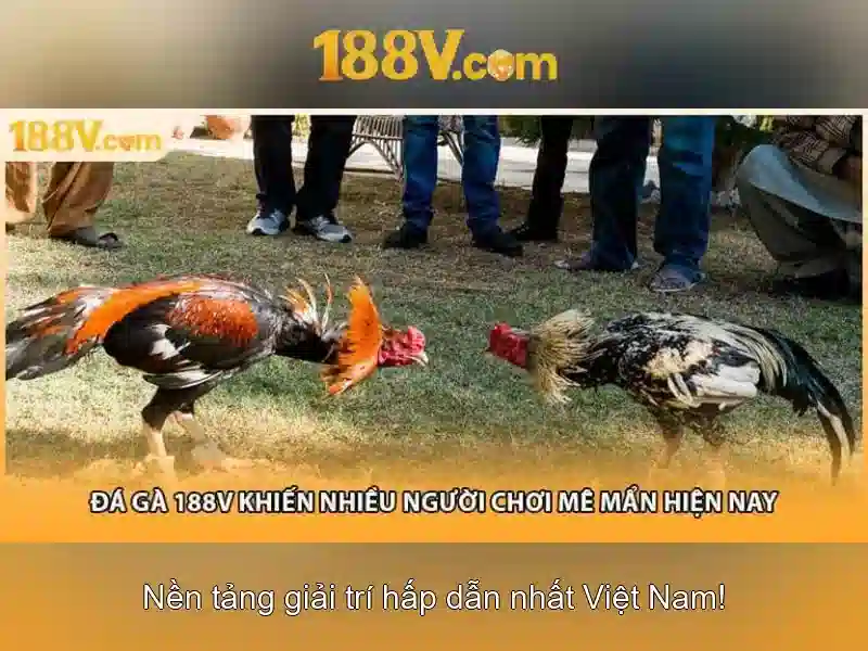 tải app 188v – Trải nghiệm đột phá với 188v school và 188v tải Giao diện nhà cái hoàn hảo