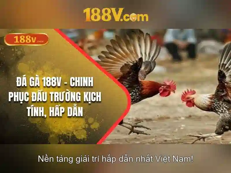 Giao diện nhà cái hoàn hảo