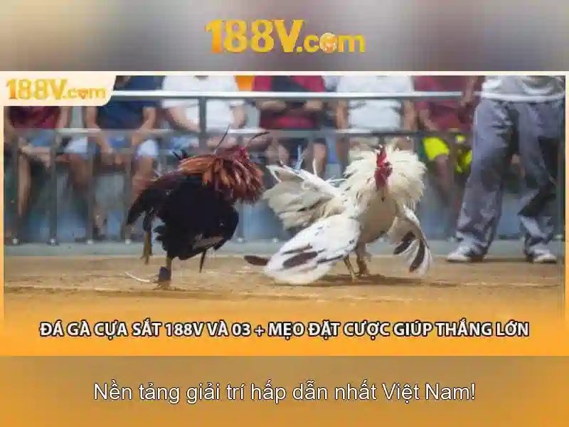 Khám phá 188v: một khái niệm thiết kế và sáng tạo