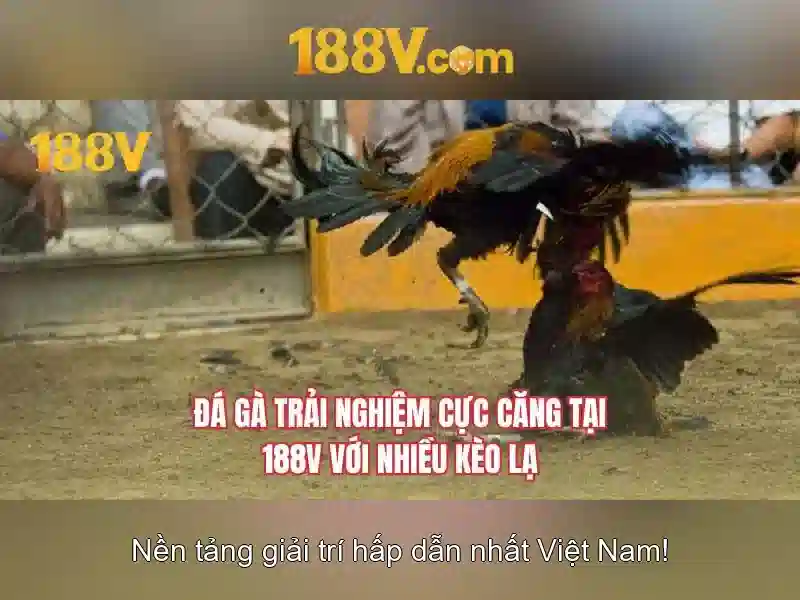tải app 188v – Trải nghiệm đột phá với 188v school và 188v tải
