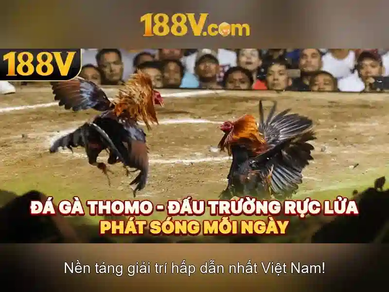 188v: ý nghĩa và hành trình của một con số Giao diện nhà cái hoàn hảo